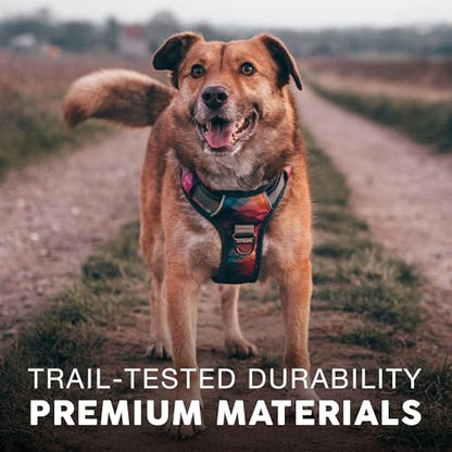 Embark Adventure Small Dog Harness – No-Pull, Reflective Trim, Military-Grade Nylon, Front Clip with Gel-Lined Handle, Soft & Padded Puppy Harness - color: Aurora, size: S
