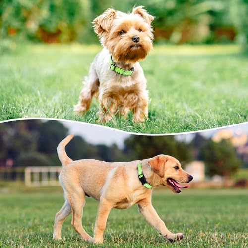Reflective Dog Collar Padded with Soft Neoprene Breathable Quick Release Basic Dog Collars for Puppy Small Dogs Girl Green - color: Green, size: XS:width 5/8"neck 8-10.5"