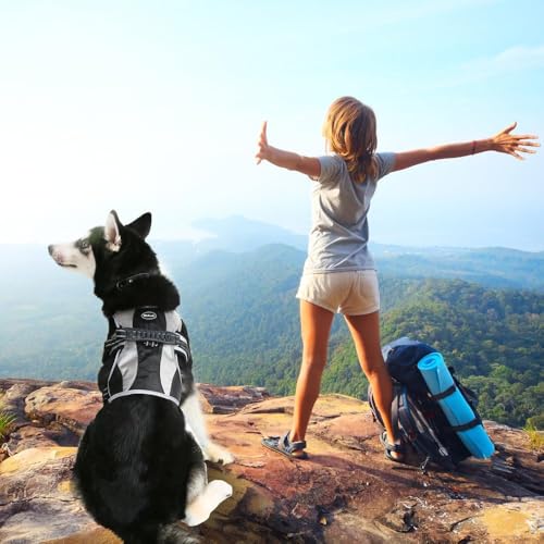 Escape Proof Dog Harness - No Pull Reflective Dogs Harness Vest with Lift Handle, Adjustable Soft Padded No Slip Pet Harness Training Easy Control for Medium Large Dogs - color: Black & Grey, size: Medium