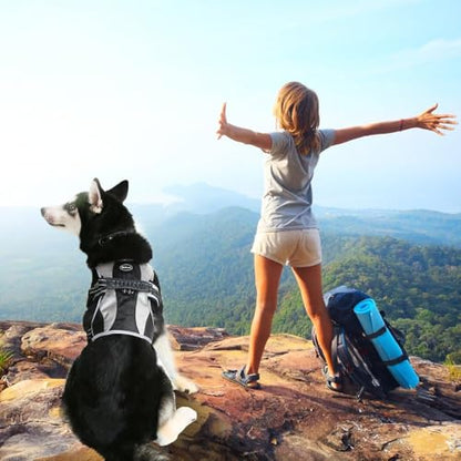 Escape Proof Dog Harness - No Pull Reflective Dogs Harness Vest with Lift Handle, Adjustable Soft Padded No Slip Pet Harness Training Easy Control for Medium Large Dogs - color: Black & Grey, size: Medium