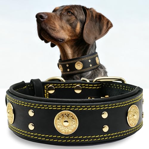 Leather Dog Collar, 2 inches Wide Heavy Duty Genuine Leather Collars, Handmade, Soft, and Luxury, Eye-catching Best Choice for Large and Medium Breed Dogs, Black-Gold 21-25 in - color: Black-Gold, size: 21-25 in