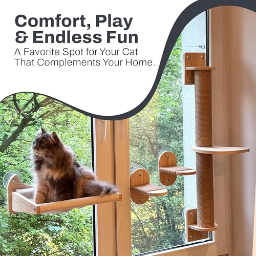 4-in-1 Window & Wall Mount Cat Wall Shelves – Hammock, Scratching Post & Perch | Fits up to 40 lbs | Space-Saving Pet Furniture for Windows, Glass & Drywall | Modern Wood Cat Shelf Set