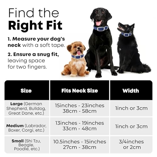 Regal Dog Products Medium Blue with Custom Engraved Waterproof Dog Collar and Leash Set | Waterproof Dog Collar with Double Buckle & D Ring - 5'ft Leash | Matching Dog Collar and Leash for Dogs - color: Blue, size: Medium Collar with leash
