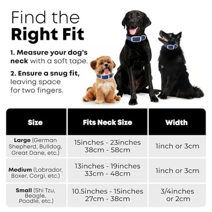 Regal Dog Products Medium Blue with Custom Engraved Waterproof Dog Collar and Leash Set | Waterproof Dog Collar with Double Buckle & D Ring - 5'ft Leash | Matching Dog Collar and Leash for Dogs - color: Blue, size: Medium Collar with leash