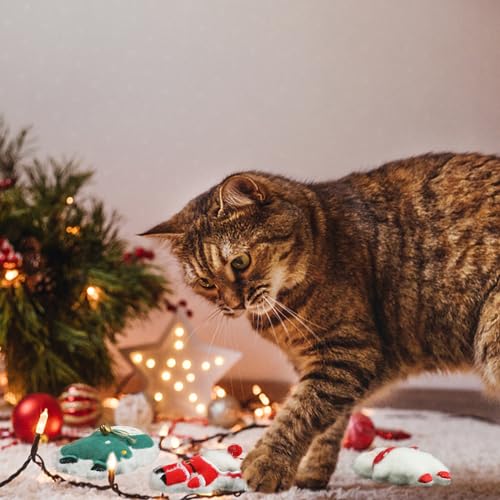 FOIMAS 3pcs Christmas Catnip Toys,Xmas Cat Toys Plush Santa Claus Snowman Tree Interactive Chew Bite Toys for Cat Kitten Indoor - color: multi xmas 2