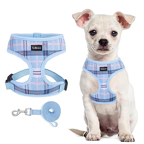 SCENEREAL Puppy Dog Harness with Leash Set for Small Medium Sized Dogs, Soft Mesh Pet Harnesses and Leash, No Chock Plaid Adjustable No Pull Vest for Dogs Cats, Chihuahua,Bulldog (Blue XS) - color: Sky Blue, size: XS: Chest Girth: 10"-14"