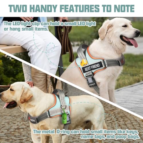 AUROTH Dog Harness and Leash Set, Soft Padded Service Dog Vest with 5.25FT Dog Leash, No Choke, Easy On Pet Vest, Adjustable Reflective No Pull Dog Harness Small Sized Dog, Easy Walking and Training - color: Macaron Blue, size: Small