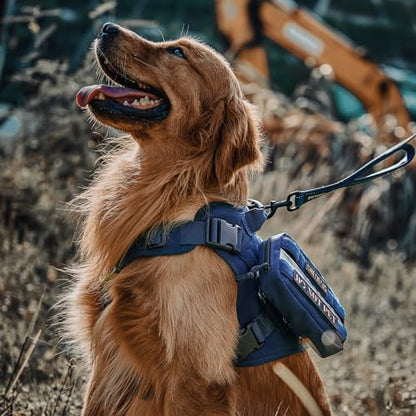 OneTigris Tactical Dog Harness Vest,No-Pull Service Dog Vest with Hook & Loop Panels,Adjustable Dog Vest Harness for Walking Hiking Training(Blue,XS) - color: Blue, size: XS