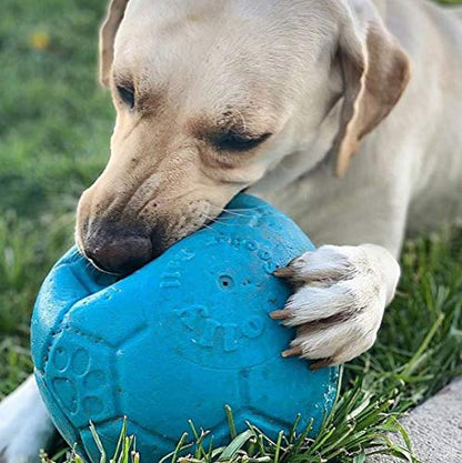 Jolly Pets Large Soccer Ball Floating-Bouncing Dog Toy, 8 inch Diameter, Ocean Blue - color: Ocean Blue, size: 8 Inch Diameter