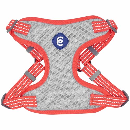 Blueberry Pet Essentials Back to Basics Reflective Dog Harness Vest, Fiery Red, Medium, Adjustable Harnesses for Dogs - color: Fiery Red, size: Medium (Pack of 1)