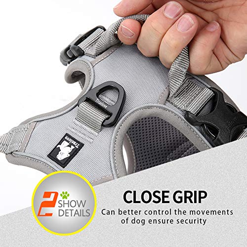 JUXZH Truelove No Pull Dog Harness with Easy Control Handle and 2 Leash Attachments,Reflective Adjustable Pet Vest - color: Gray, size: Small (Pack of 1)