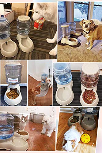 Pet Feeding Solution Automatic Cat & Dog Cafe Feeder and Water Dispenser in Set with Food Scoop - Ito Rocky 6-Meal Automatic Food Dispenser for Small/Middle Puppy and Kitten - color: Grey Feeder and Water Dispender