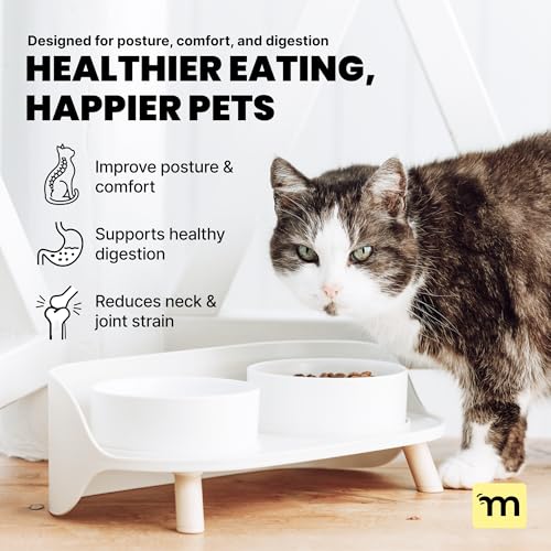 MalsiPree Elevated Dog Bowls - Puppy Adoption Gifts & Cute Puppy Accessories - 45° Tilt Feeding Station with Ceramic Dishes - Food and Bowls Set - Dog Birthday Gifts for Small Pets - Sand Beige - size: Small