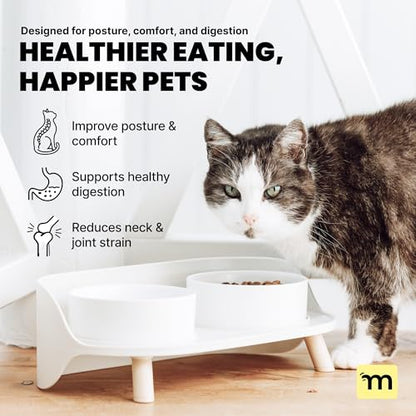 MalsiPree Elevated Dog Bowls - Puppy Adoption Gifts & Cute Puppy Accessories - 45° Tilt Feeding Station with Ceramic Dishes - Food and Bowls Set - Dog Birthday Gifts for Small Pets - Sand Beige - size: Small