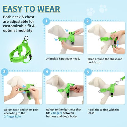 SlowTon No Pull Small Dog Harness and Leash Set, Puppy Soft Vest Harness Neck & Chest Adjustable, Reflective Lightweight Harness & Anti-Twist Pet Lead Combo for Small Medium Dogs (G-Front Clip,XXS) - color: B-Light Green - With Front Clip, size: XX-Small