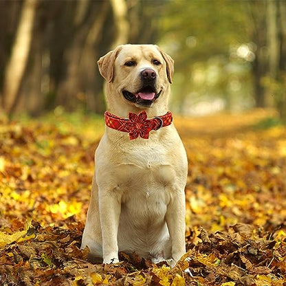 Dog Collar, Fall Dog Collar with Flower Plaid Pet Collar Puppy Collars Cute Adjustable Puppy Collars for X-Small Puppy - color: Fall, size: X-Small (Pack of 1)