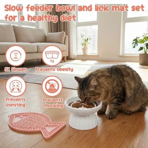 Ceramic Slow Feeder Cat Bowl 5.5inch with Lick Mat,Elevated Food Bowl for Cats and Small Dogs,Cute Flower Shape for Dry and Wet Food-White Bowl+Pink Lick Mat - color: White Bowl+ Pink Lick Mat