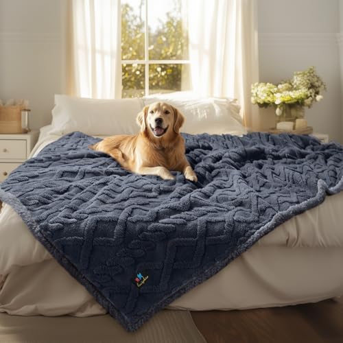 Luciphia Waterproof Pet Blanket, Liquid Pee Proof Dog Blankets for Sofa Bed Couch, Reversible Sherpa Fleece Furniture Protector Cover for Small Medium Large Dogs Cats,Dark Grey X-Large（85" x 57"） - color: Dark Grey, size: XL (85" x57")
