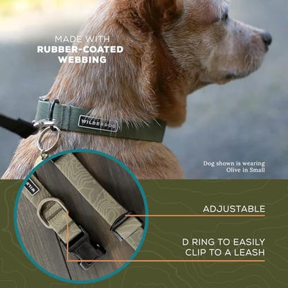 Wilderdog Waterproof Dog Collar – Repels Water & Dirt – Small 11"-15" – Olive - color: Olive, size: Small