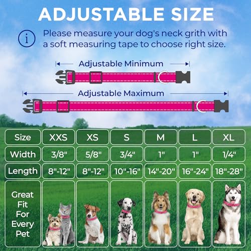 TECEUM Reflective Dog Collar – Hot Pink – M – Extra Soft Padding – Basic Nylon Pet Collar – Quick Release Buckle – Fits Small, Medium and Large Dogs, Puppies, Cats – ESA & Service Dog Options - color: Hot Pink, size: Medium