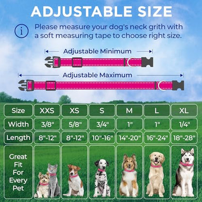 TECEUM Reflective Dog Collar – Hot Pink – M – Extra Soft Padding – Basic Nylon Pet Collar – Quick Release Buckle – Fits Small, Medium and Large Dogs, Puppies, Cats – ESA & Service Dog Options - color: Hot Pink, size: Medium