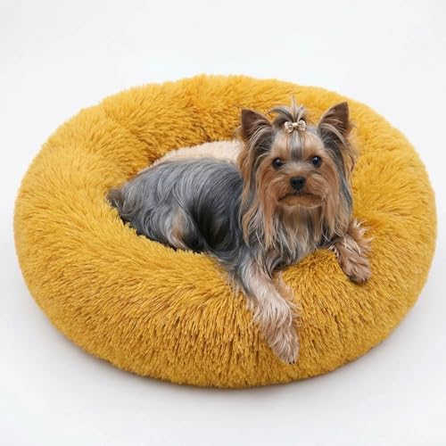 Calming Donut Dogs Beds for Small Dogs Washable,19inch Fluffy Round Puppy Bed for Puppies,Cats & Toy Breeds with Raised Rim,Fits up to 15 lbs Pets,Orange - color: Orange, size: 19 inches