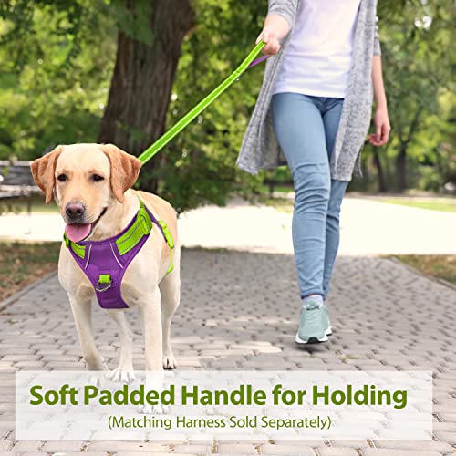 PHOEPET 5 Feet Dog Leash with Comfortable Padded Handle Easy Snap Clasp - Reflective Walking Lead for Large, Medium & Small Breed Dogs (Green + Purple Base) - color: Green + Purple Base