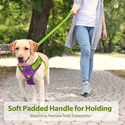 PHOEPET 5 Feet Dog Leash with Comfortable Padded Handle Easy Snap Clasp - Reflective Walking Lead for Large, Medium & Small Breed Dogs (Green + Purple Base) - color: Green + Purple Base
