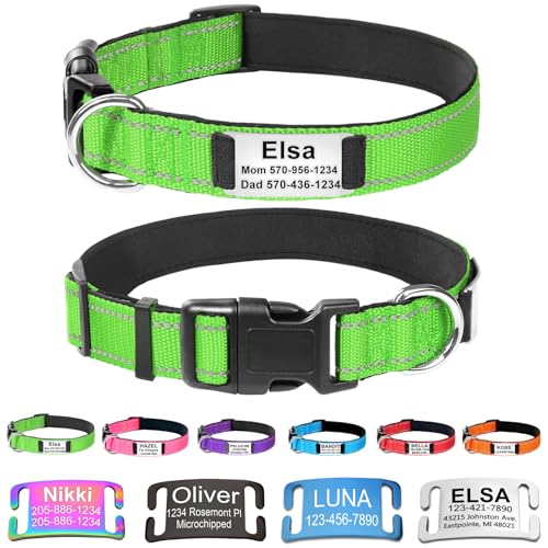 Custom Dog Collars with Name Plate, Engraved Name Plate ID Tags with Reflective Nylon Dog Collar,Soft Neoprene Padded Adjustable Pet Collar for Small Medium Large Dogs,XS Green - color: Green, size: XS(9-12") x 5/8"