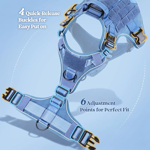 rabbitgoo Tactical Dog Harness Medium Sized, No Pull Upgraded Reflective Heavy Duty Molle Vest with Handle, Adjustable Military Service Dog Vest for Walking Hiking Training, Blue, M - color: Blue Reflective, size: Medium