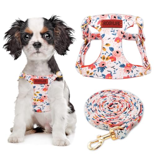 No Pull Dog Harness Adjustable Small Dog Harness and Leash Set, Lightweight and Soft Dog Harness No Choke Escape Proof Pet Harness Vest (Orange Rose, XS) - color: Orange Rose, size: XS