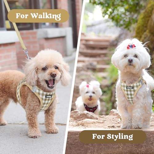 rabbitgoo Small Dog Harness, Step-in Soft Mesh Puppy Vest with Safety Buckle, Breathable Reflective Pet Harness for Small Sized Dogs, Beige Plaid S - color: Beige Plaid, size: S(chest:15.1"-16.5")