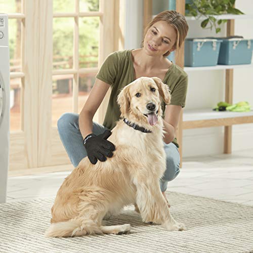 Franklin Pet Supply Co. SHED-MASTER - Pet Grooming Gloves - Gentle De-shedding Dog + Cat Hair remover - Long + Short Hair Remover - Great For Floors + Furniture