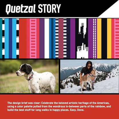 Wolfgang Heavy Duty Martingale Dog Collar with Quick Release Nylon Buckle for Walking & Training, Quetzal Print, Medium - color: Quetzal Print, size: Medium (1 Inch x 14-18 Inch)