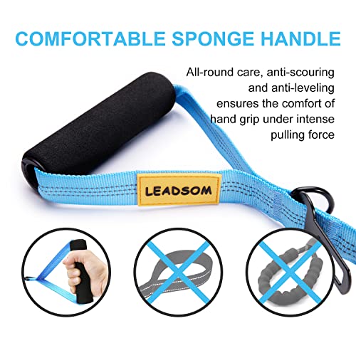 6FT Highly Reflective Heavy Duty Elastic Bungee Medium and Large Dog Leash Shock Absorbing with Comfortable Padded Handle and Traffic Handle Suitable for Training Light Blue - color: Light Blue