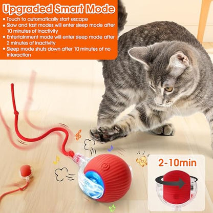 Interactive Cat Toy for Indoor Cats, Smart Motion-Activated Rolling Ball with LED Lights, USB Rechargeable Cat Enrichment Toy for Bored Adult Cats & Kittens to Keep Them Busy (Red)