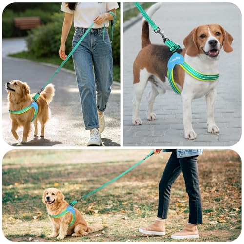 Kazazoo No Pull Small Dog Harness and Leash Set, Adjustable Puppy Soft Vest Harness with Breathable Mesh Padded, Reflective Lightweight Harness with Buckle for Extra Small Medium Dogs, Green S - color: Green, size: S