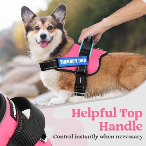 rabbitgoo Dog Harness Medium Sized, Easy On Pet Vest with One Buckle, No Pull Adjustable Service Harness with D-Ring & Handle, Reflective for Safety Walking, Training, Pink, M - color: Pink, size: Medium