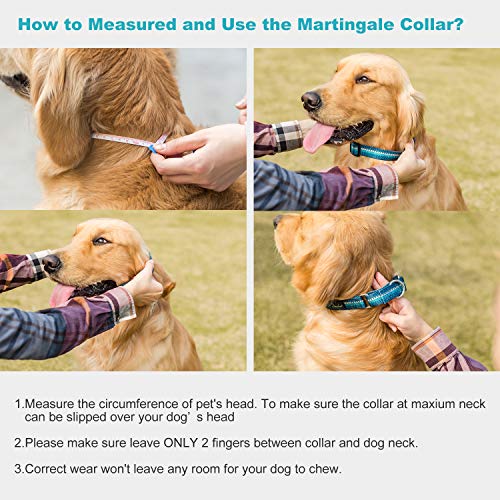 Martingale Dog Collar No Pull Pet Collar Heavy Duty Dog Martingale Collars Silky with Unique Geometric Pattern for Medium and Large Dogs (M, Turquoise) - color: Turquoise, size: Medium: 14"-21", 1" Wide