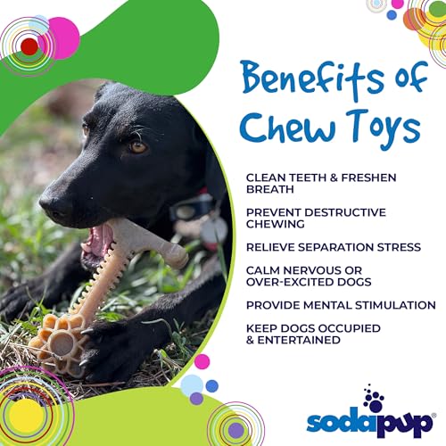SodaPup Honey Bone Flower Tower – Ultra Durable Dog Chew Toy Made in USA from Non-Toxic, Pet Safe, Food Safe, Nylon Material for Clean Teeth, Fresh Breath, Problem Chewing, Calming Nerves, & More - color: Brown Nylon Flower Tower