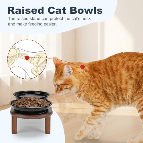SPUNKYJUNKY Shallow Elevated Cat Bowl with Acacia Wood Stand Wide Raised Ceramic Cat Dishes Whisker Friendly Pet Food and Water Plates (Striped Pattern, Black) - color: Black