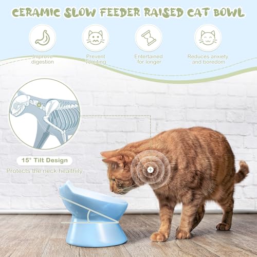 Funnymoom 2 Pcs Ceramic Raised Slow Feeder Cat Bowl, 5.91inch Elevated Cat Slow Feeder Bowl Tilted Anti Vomiting for Dry Wet Food and Water Easy to Clean High Edge(Green, Blue) - color: Green, Blue
