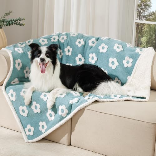 Luciphia Waterproof Pet Blanket for Medium Large Dogs Washable Fluffy Thick Jacquard Shag Fleece Warm Sherpa 3D Textured Flower Print for Cats Puppy Couch Protection (Blue,67x57 inches) - color: Blue, size: 67x57 inches