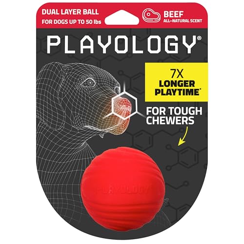 Playology Dog Toys | Dual Layer Ball Durable Chew Toy for Tough Chewers | Beef Scented Medium Dog Toy | Chew Toys for Dogs - size: Medium, style: Beef