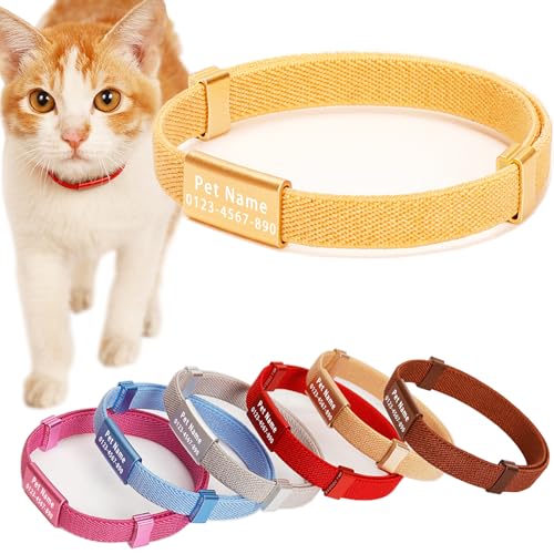 Minimalist Stretch Lightweight Custom Engraved Cat Collar with Name Tag Personalized Cat Collars for Kitten Boy & Girl Cats (Champagne Gold, Collar with Nameplate) - color: Champagne Gold, size: Collar With Nameplate