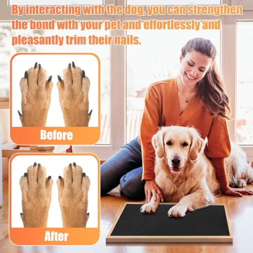 6 PCS Pet Nail Self Adhesive Replacement Emery Paper Fits Most Dog Scratch Pad Cat Litter Box DIY on The Places Where Pets Like to Scratch (10in*17.7in, White) - color: White, size: 10in*17.7in