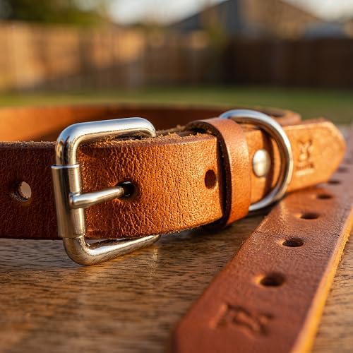 XanYu Premium Genuine Leather Dog Collar – Adjustable Heavy Duty Pet Collar with Sturdy Metal Buckle, Soft & Classic for Puppy and Small, Medium, Large Dogs (Tan)
