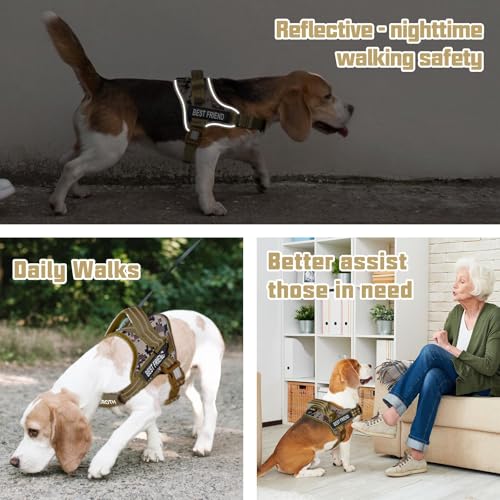AUROTH Dog Harness and Leash Set, Soft Padded Service Dog Vest with 5.25FT Dog Leash, No Choke, Easy On Pet Vest, Adjustable Reflective No Pull Pet Vest Medium Sized Dog, Easy Walking and Training - color: Desert Camo, size: Medium