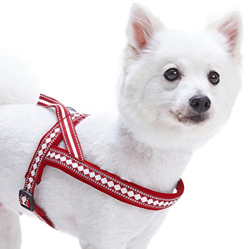 Blueberry Pet 4 Colors Soft & Comfy 3M Reflective Jacquard Padded Dog Harness, Chest Girth 30" - 38.5", Marsala Red, Large, Adjustable Harnesses for Dogs - color: Marsala Red, size: Large(30" - 38.5") Chest Girth