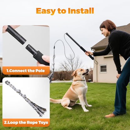 Pragmatist Outdoor Flirt Pole for Dog, Detachable Dog Flirt Pole Heavy Duty Sturdy Pet Toys for Outdoor Exercise & Training Durable Teaser Wand Interactive Toy for Small Medium Large Dogs, Black